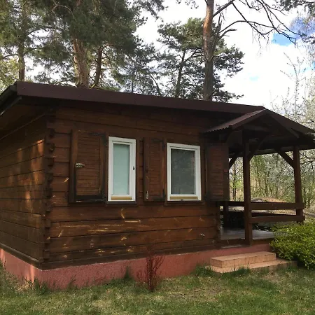 Sosnowy Holiday home Serpelice