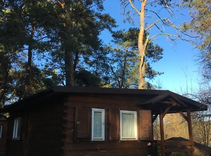 Sosnowy Holiday home Serpelice