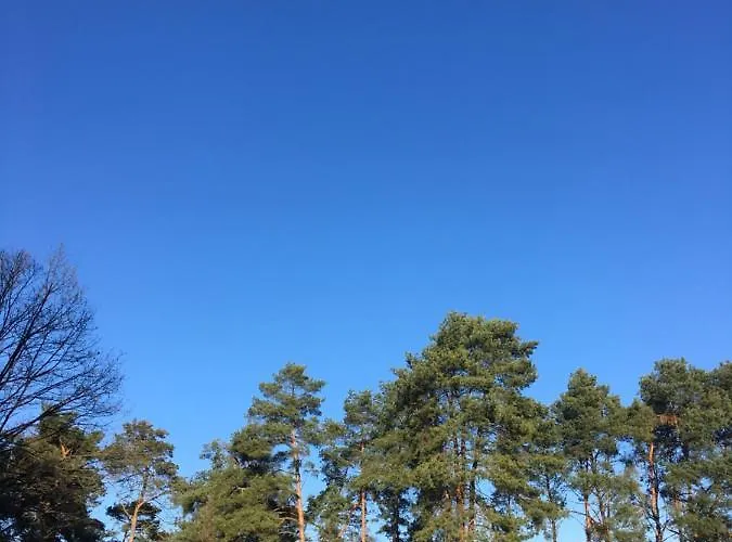 Sosnowy Holiday home